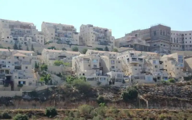 الأمم المتحدة: زيادة غير مسبوقة للاستيطان