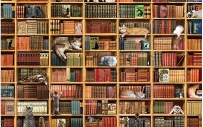 مكتبة تقبل صور القطط بدل الغرامات
