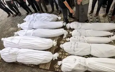 31341 شهيدا في غزة