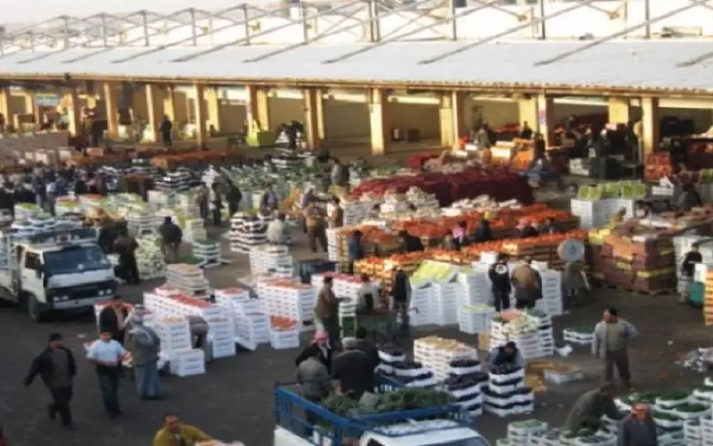 2290 طن خضار ترد السوق المركزي