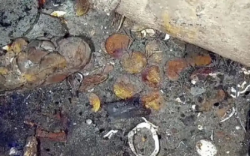 كنز قيمته 20 مليار دولار في