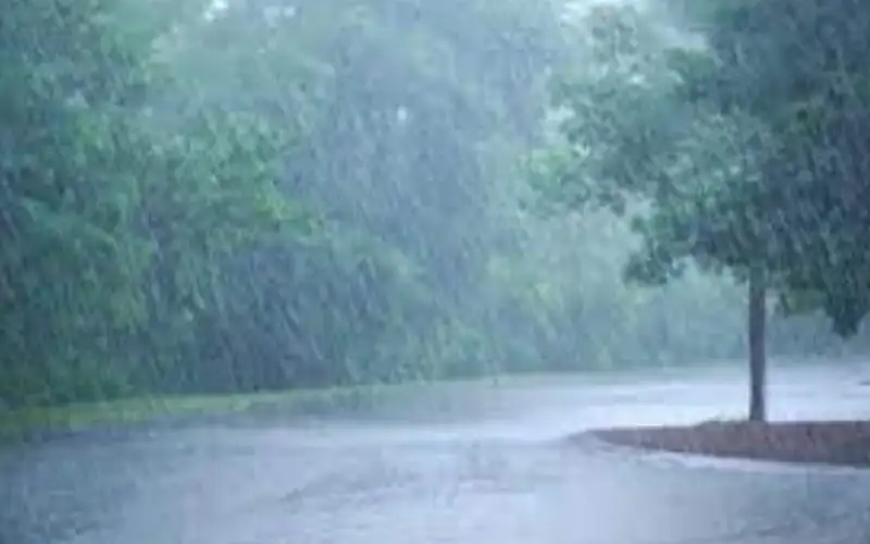 الطقس ماطر الإثنين .. وربيعي الثلاثاء