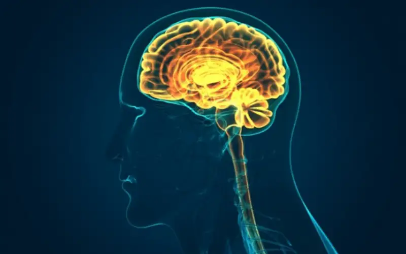 دراسة: الحالات العصبية السبب الرئيسي للإعاقة