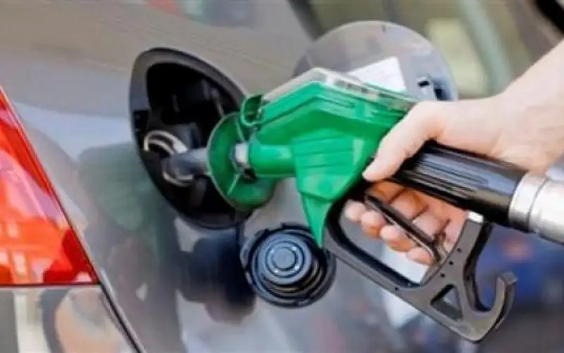 256 مليون دينار الفاتورة النفطية للمملكة