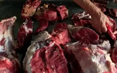 إتلاف 300 كيلو من اللحوم بجرش