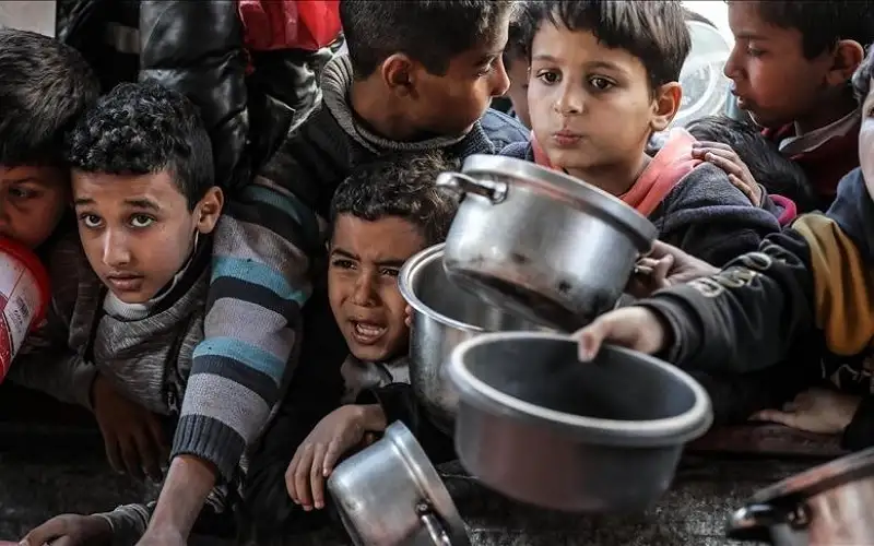 طبيبة بريطانية : غزة لا تصلح