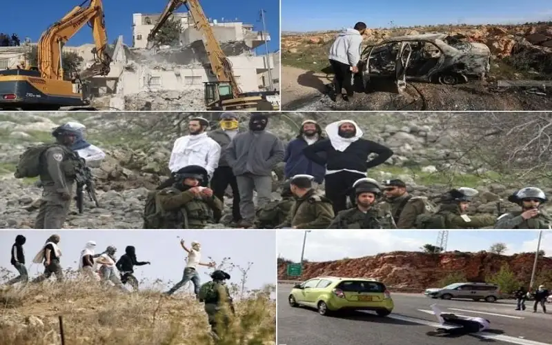 الاحتلال استولي على 27 ألف دونم