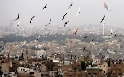 أجواء دافئة في أغلب المناطق حتى
