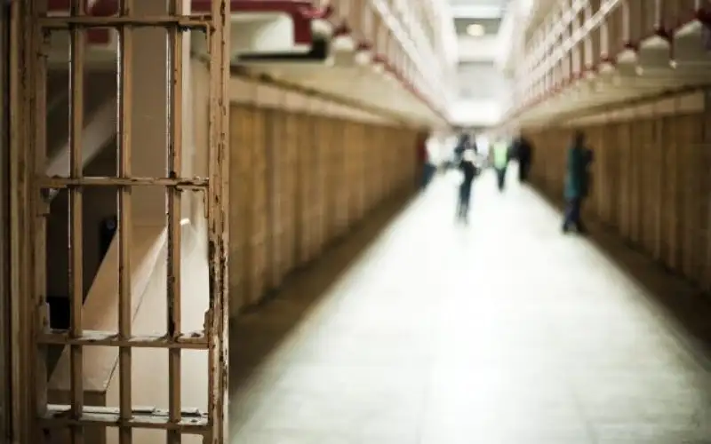 المجالي: الإفراج عن 60 نزيل بالساعة