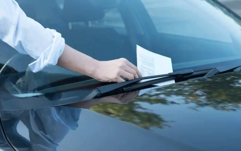 العفو العام يشمل مخالفات السير ولا