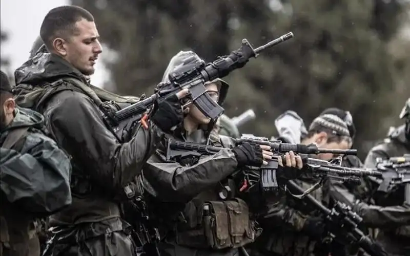 الدنمارك .. دعوى قضائية لوقف صادرات