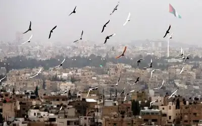 طقس دافئ الخميس والجمعة