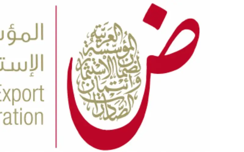 ضمان الاستثمار: ارتفاع مستوى المخاطر المالية
