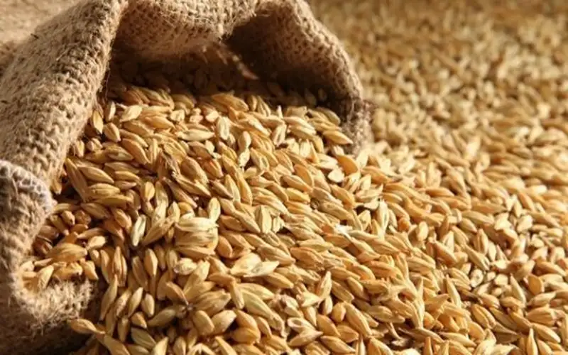 باستثناء الأغنام .. الحكومة تخفض أسعار
