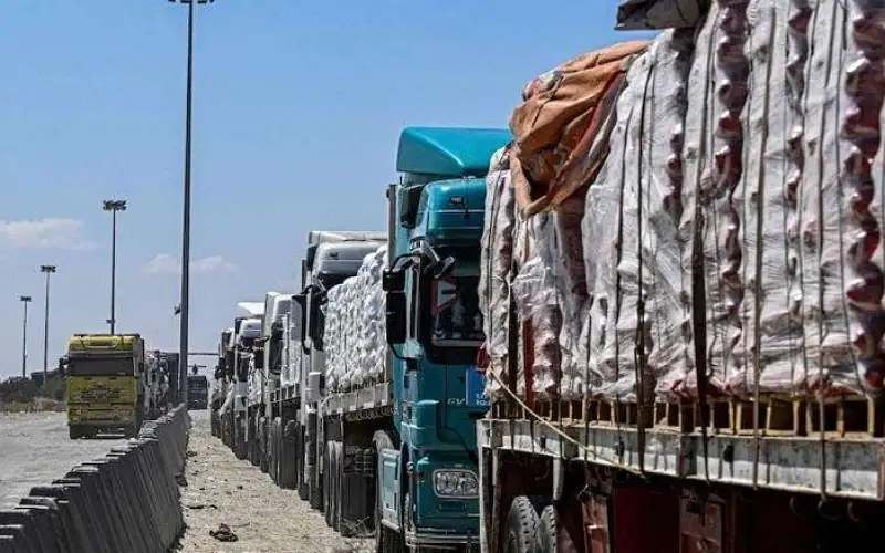 مصر : دخول 314 شاحنة مساعدات