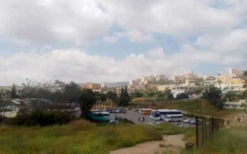 حركة سياحية نشطة يشهدها موقع جرش