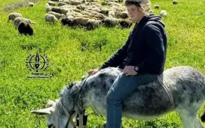 نتنياهو يعلن مقتل المستوطن المفقود