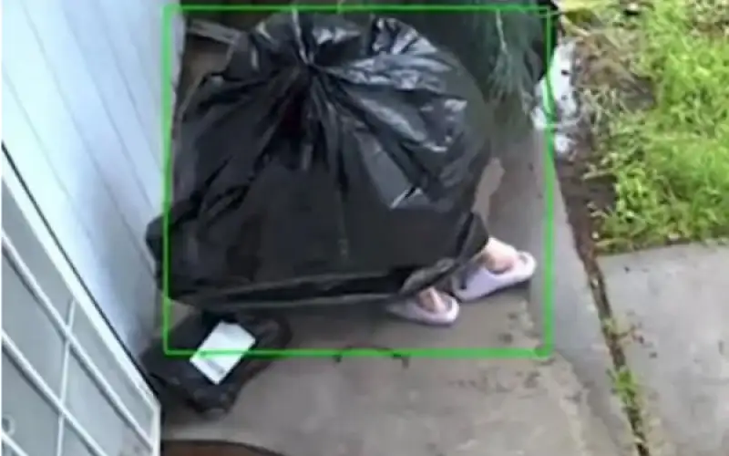 كاليفورنيا .. لص يتنكر بزي كيس