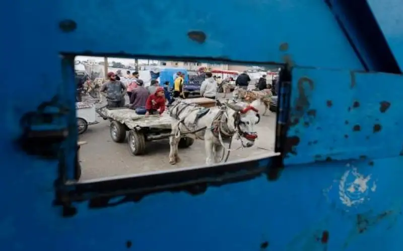 بطلب من الأردن .. مجلس الأمن