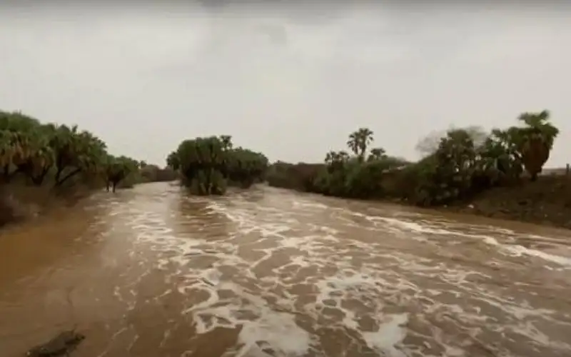 عمان: ارتفاع عدد الوفيات إلى 21