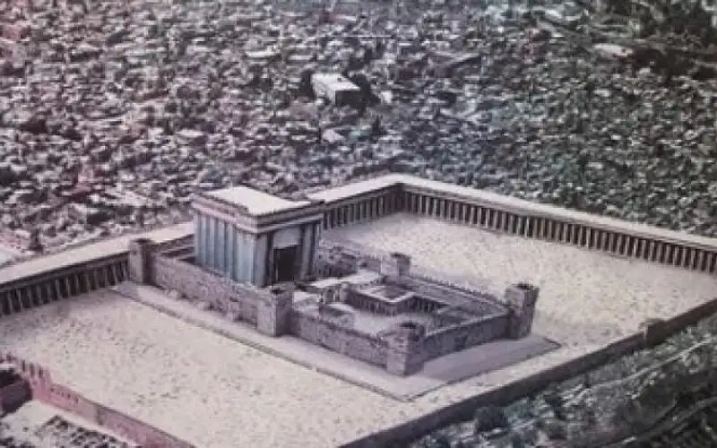 عضو بالكنيست: نعمل على مدار الساعة