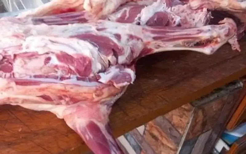 الكرك.. ضبط لحوم فاسدة وإغلاق بالشمع