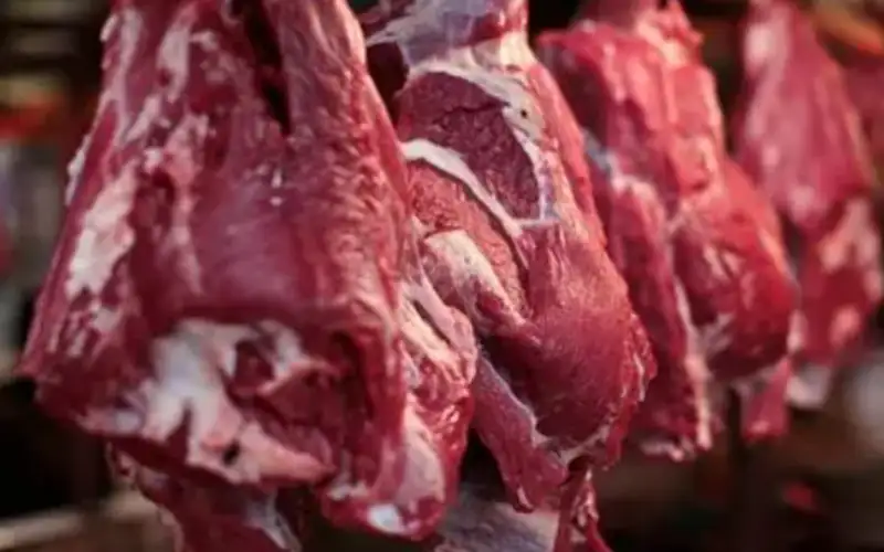 إغلاق ملحمتين لبيعهما لحوم غير صالحة