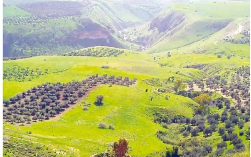 سياحة الرحلات تنعش محافظات الشمال