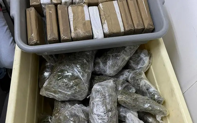 الاحتلال يحبط محاولة تهريب مخدرات إلى