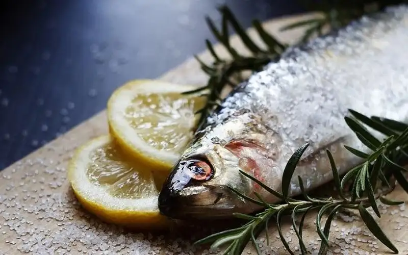 فوائد تناول الأسماك الزيتية للصحة