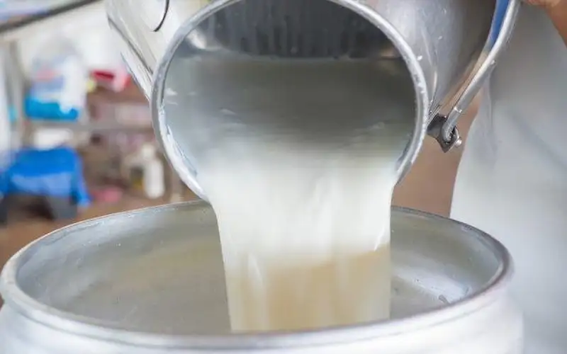 نحو 900 طن الانتاج اليومي للاردن