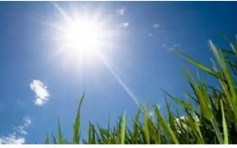 طقس دافئ مع ظهور غيوم على