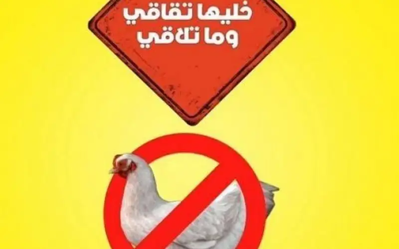 خليها تقاقي .. حملة لمقطاعة الدواجن