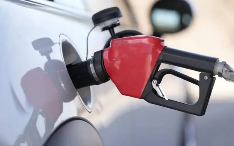 روسيا تدرس رفع الحظر عن تصدير