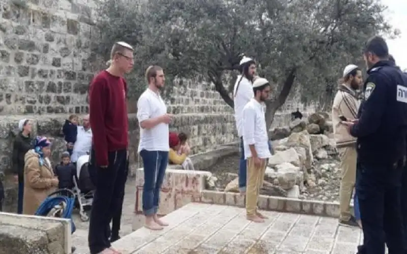 آلاف المستوطنين يقتحمون المقامات الإسلامية في