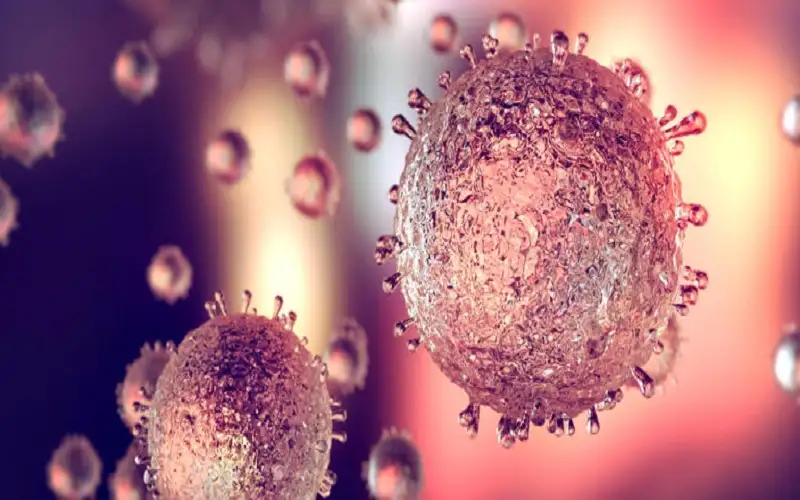 وجبة فطور تحميكم من 12 نوعا