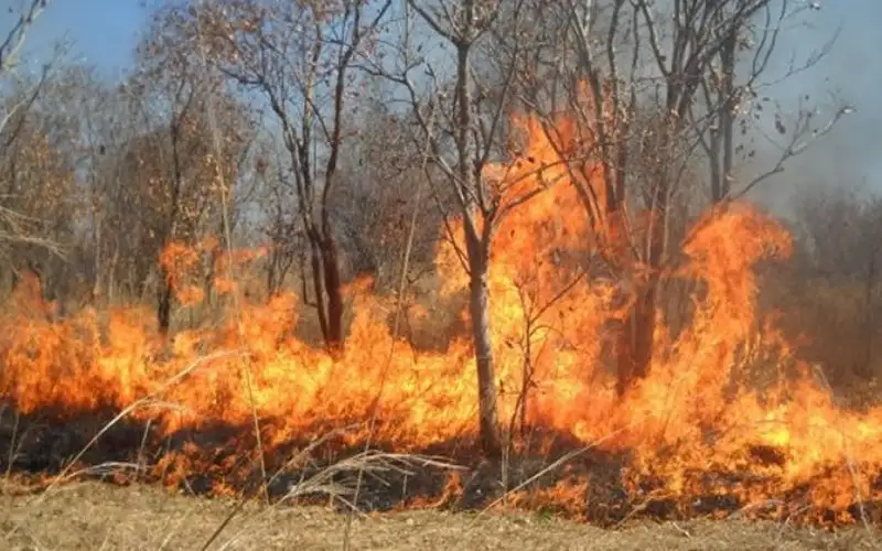 673 حريقا بالأردن خلال 48 ساعة