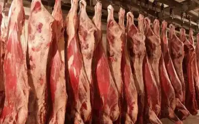 قصابون يؤكدون انخفاض الطلب على اللحوم