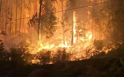 حرائق الغابات تدفع الآف الكنديين لاخلاء
