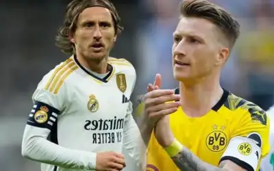 تحديد حكم نهائي دوري أبطال أوروبا