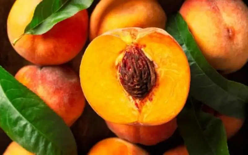 تعرف على تأثير تناول الخوخ على