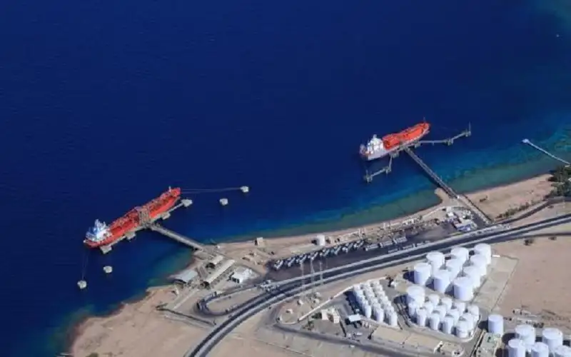 افتتاح المحطة الرئيسية لاستقبال غاز الريشة