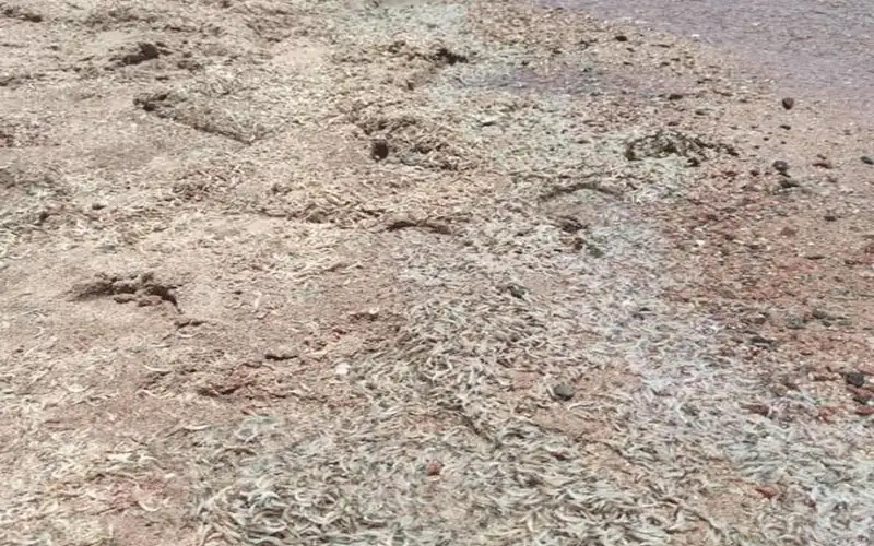 مجلس الأمن يناقش الوضع في العراق