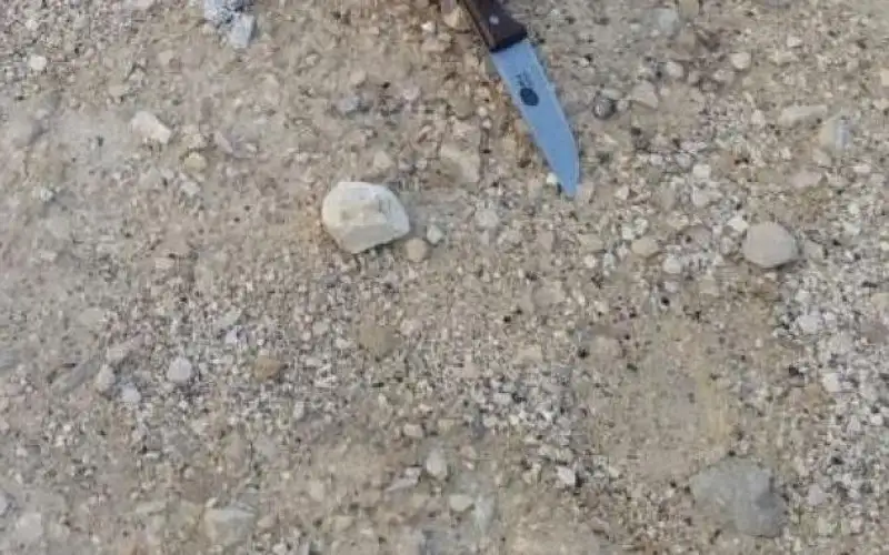 الاحتلال يحبط محاولة طعن جنود بأبو