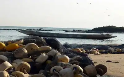 تونس تنتشل جثث 4 مهاجرين قبالة