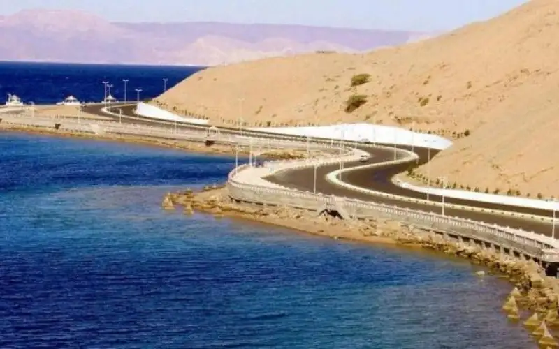 الحكومة: مشروع الناقل الوطني سينفذ بتكلفة