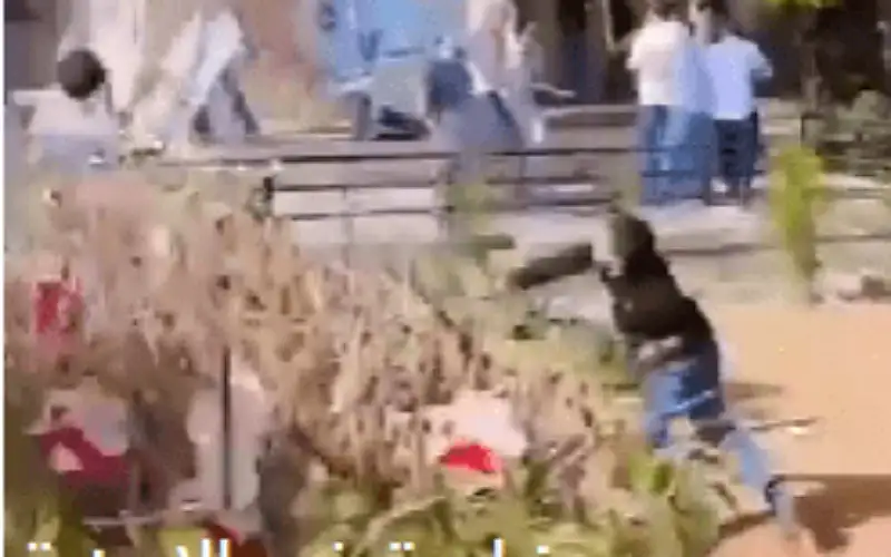 المستقلة للانتخاب: انتخابات الجامعة الأردنية تحاكي