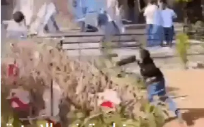 المستقلة للانتخاب: انتخابات الجامعة الأردنية تحاكي