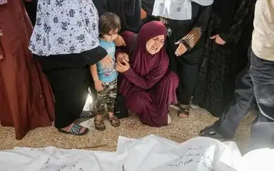 35 ألفا و800 شهيدا في غزة