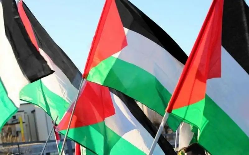 أيرلندا تعلن الاعتراف رسميا بالدولة الفلسطينية